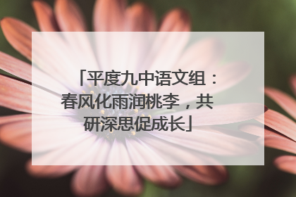 平度九中语文组：春风化雨润桃李，共研深思促成长