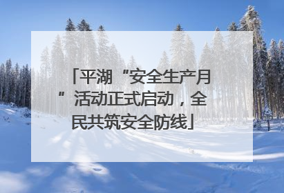 平湖“安全生产月”活动正式启动，全民共筑安全防线