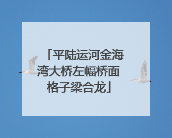 平陆运河金海湾大桥左幅桥面格子梁合龙