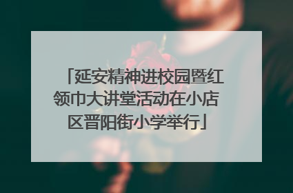 延安精神进校园暨红领巾大讲堂活动在小店区晋阳街小学举行