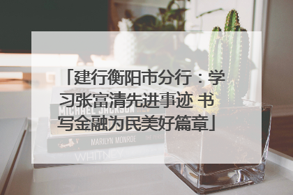 建行衡阳市分行：学习张富清先进事迹 书写金融为民美好篇章