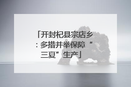 开封杞县宗店乡：多措并举保障“三夏”生产