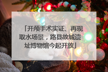 开颅手术实证、再现取水场景，路县故城遗址博物馆今起开放