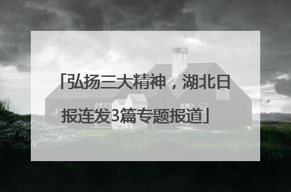 弘扬三大精神，湖北日报连发3篇专题报道