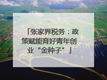 张家界税务：政策赋能育好青年创业“金种子”