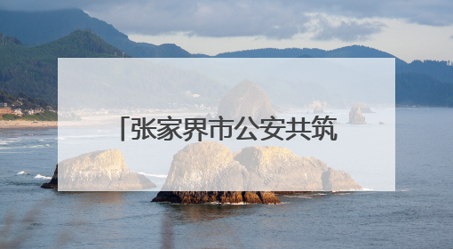 张家界市公安共筑“防洪堤”：向险而行 守护安澜