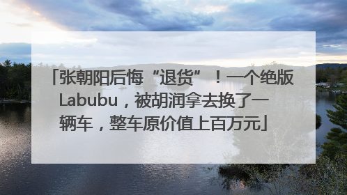 张朝阳后悔“退货”！一个绝版Labubu，被胡润拿去换了一辆车，整车原价值上百万元