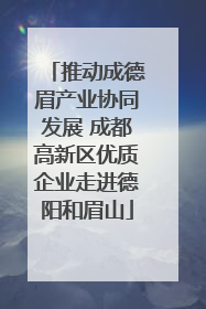 推动成德眉产业协同发展 成都高新区优质企业走进德阳和眉山