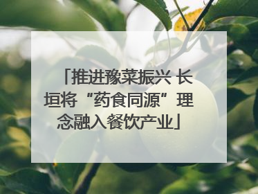 推进豫菜振兴 长垣将“药食同源”理念融入餐饮产业