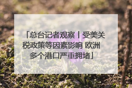 总台记者观察丨受美关税政策等因素影响 欧洲多个港口严重拥堵