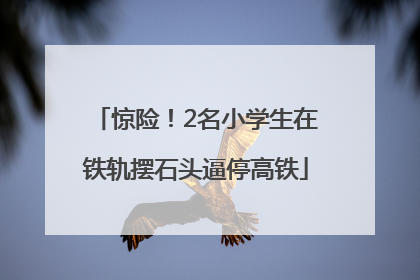 惊险！2名小学生在铁轨摆石头逼停高铁