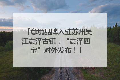意境品牌入驻苏州吴江震泽古镇，“震泽四宝”对外发布！