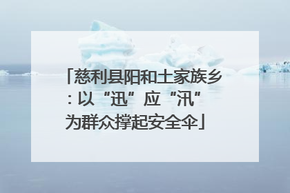 慈利县阳和土家族乡：以“迅”应“汛” 为群众撑起安全伞