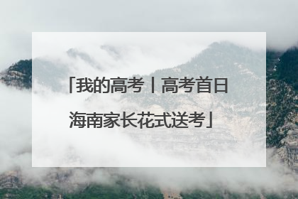 我的高考丨高考首日 海南家长花式送考