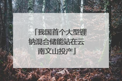我国首个大型锂钠混合储能站在云南文山投产