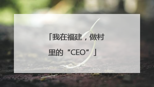 我在福建，做村里的“CEO”