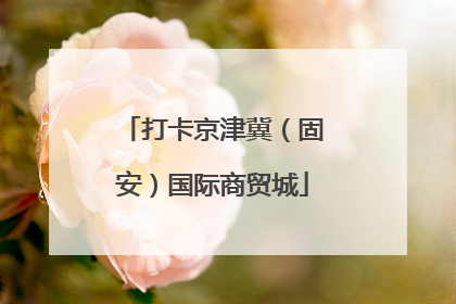 打卡京津冀（固安）国际商贸城