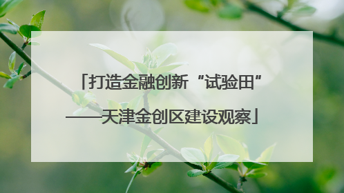 打造金融创新“试验田”——天津金创区建设观察