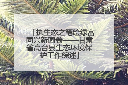 执生态之笔绘绿富同兴新画卷——甘肃省高台县生态环境保护工作综述