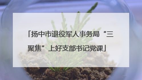 扬中市退役军人事务局“三聚焦”上好支部书记党课