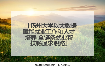 扬州大学以大数据赋能就业工作和人才培养 全链条就业帮扶畅通求职路