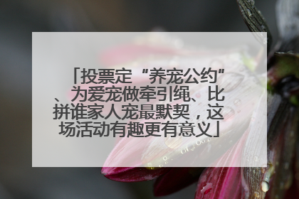 投票定“养宠公约”、为爱宠做牵引绳、比拼谁家人宠最默契，这场活动有趣更有意义