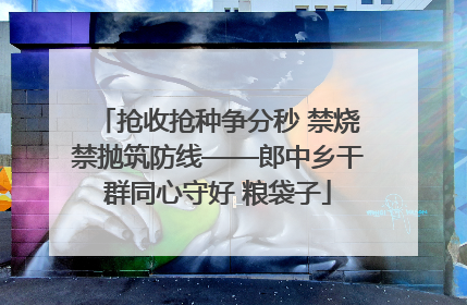 抢收抢种争分秒 禁烧禁抛筑防线——郎中乡干群同心守好 粮袋子