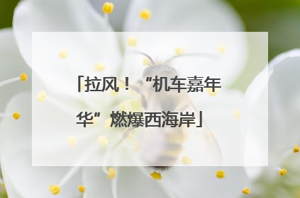 拉风！“机车嘉年华”燃爆西海岸