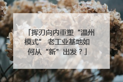 挥刃向内重塑“温州模式” 老工业基地如何从“新”出发？