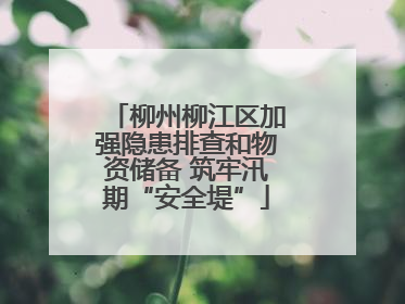 柳州柳江区加强隐患排查和物资储备 筑牢汛期“安全堤”