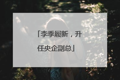 李季履新，升任央企副总