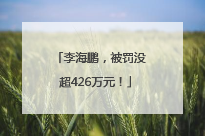 李海鹏，被罚没超426万元！
