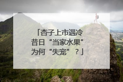 杏子上市遇冷 昔日“当家水果”为何“失宠”？