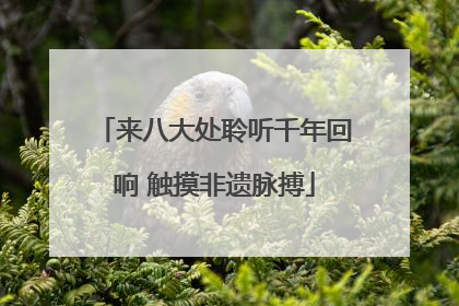 来八大处聆听千年回响 触摸非遗脉搏