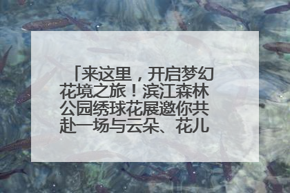 来这里，开启梦幻花境之旅！滨江森林公园绣球花展邀你共赴一场与云朵、花儿的浪漫之约
