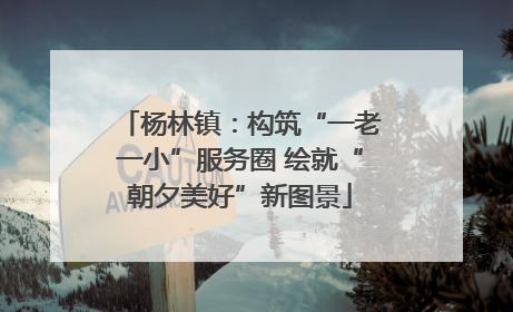 杨林镇：构筑“一老一小”服务圈 绘就“朝夕美好”新图景