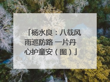 杨水良：八载风雨巡防路 一片丹心护童安（图）