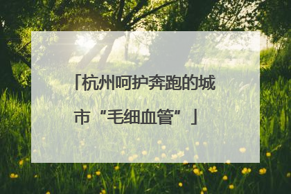 杭州呵护奔跑的城市“毛细血管”