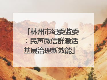 林州市纪委监委：民声微信群激活基层治理新效能