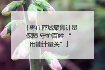 枣庄薛城聚焦计量保障 守护百姓 “用能计量关”