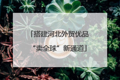 搭建河北外贸优品“卖全球”新通道