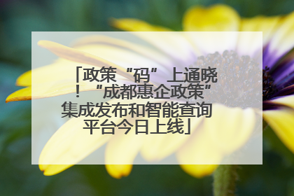 政策“码”上通晓！“成都惠企政策”集成发布和智能查询平台今日上线