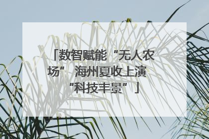 数智赋能“无人农场” 海州夏收上演“科技丰景”