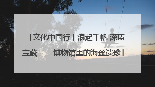 文化中国行丨浪起千帆 深蓝宝藏——博物馆里的海丝遗珍