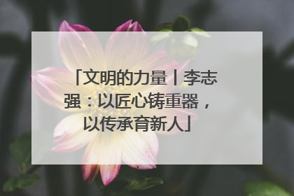 文明的力量丨李志强：以匠心铸重器，以传承育新人