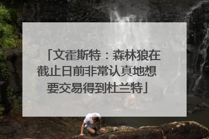 文霍斯特：森林狼在截止日前非常认真地想要交易得到杜兰特
