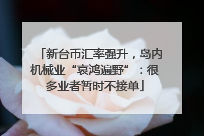 新台币汇率强升，岛内机械业“哀鸿遍野”：很多业者暂时不接单