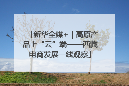 新华全媒+｜高原产品上“云”端——西藏电商发展一线观察