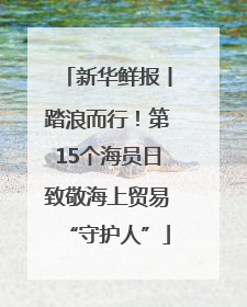 新华鲜报丨踏浪而行！第15个海员日致敬海上贸易“守护人”