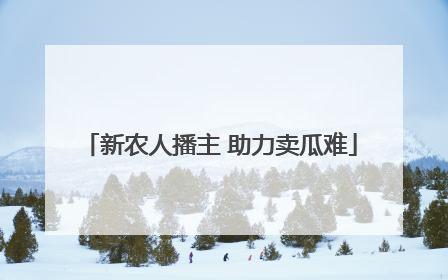 新农人播主 助力卖瓜难